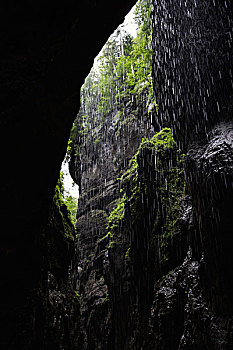 cau bachthu mienbac