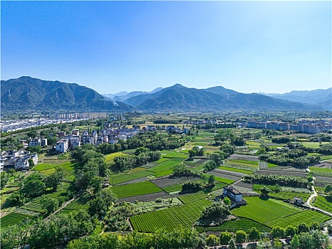 xs phu yen hom nay