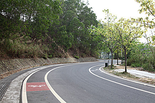 bạch thủ lô hôm nay là con gì