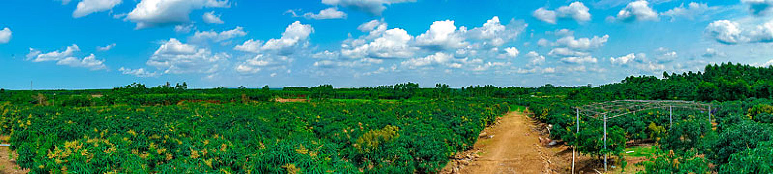 chơi lô trượt
