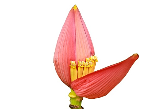 xổ số vĩnh long hàng tuần