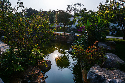 bạch thủ đề miễn phí