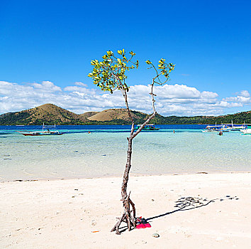 du doan xo so vung tau