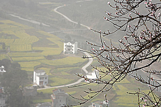 sổ kq