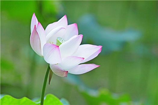 xổ số an giang trực tiếp