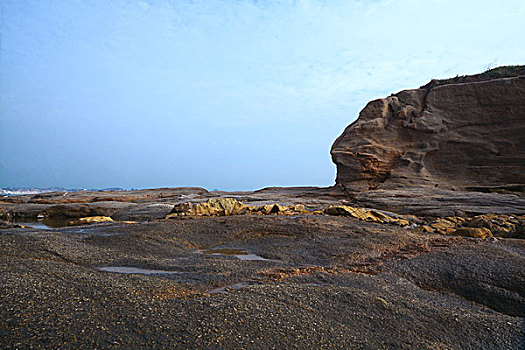 du doan rong bach kim