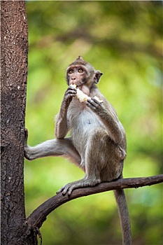 xsmb thu 3 hang tuan