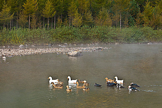 kinh nghiem danh lo bach thu