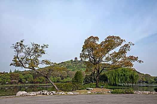 soi cầu ưin2888