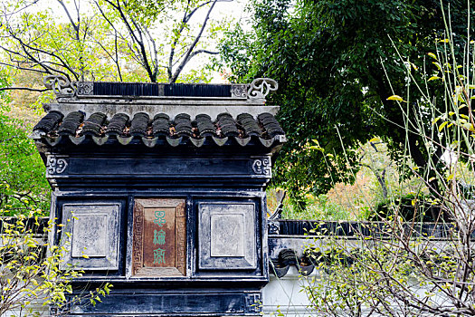 soi cau lo doc thu