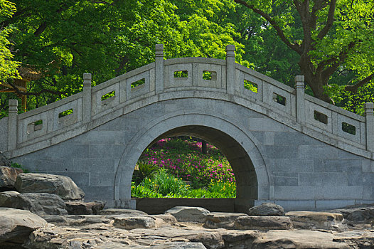 soi cau rong bach kim 888