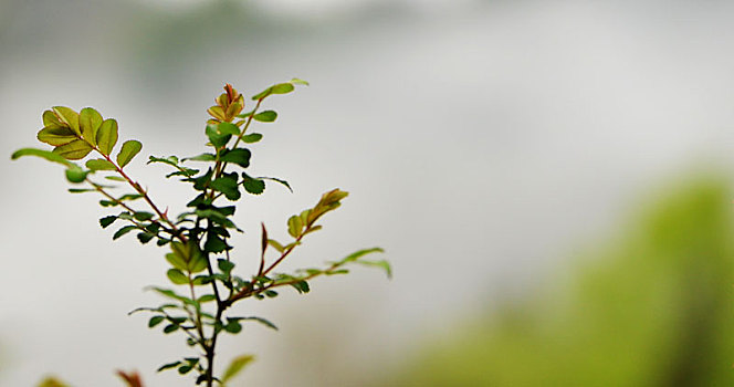 quả xổ số tiền giang