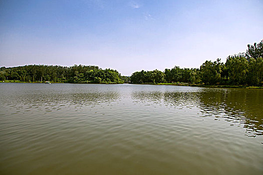 đánh lô đề trên mạng
